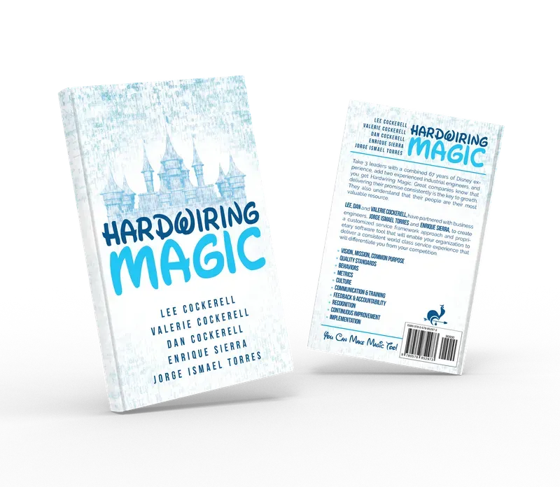 Hardwiring Magic, Front and back duo view, book cover designed by 5MEDIADESIGN